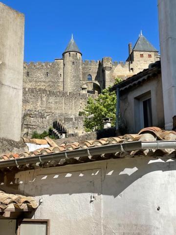 Le Patio Cathare Daire Carcassonne Dış mekan fotoğraf