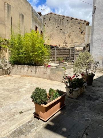 Le Patio Cathare Daire Carcassonne Dış mekan fotoğraf