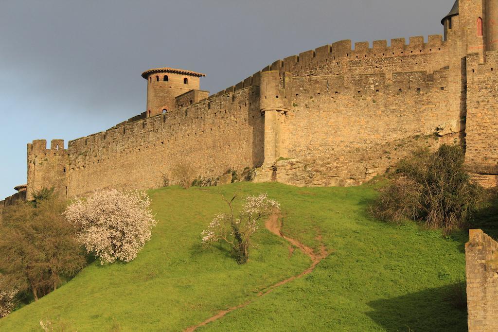 Le Patio Cathare Daire Carcassonne Dış mekan fotoğraf